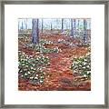 Trilliums After The Rain Framed Print