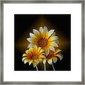 Triple Sunshine Black And Gold Framed Print