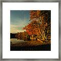 Triple Tree Framed Print