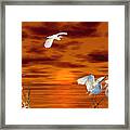 Tropical Birds And Sunset Framed Print