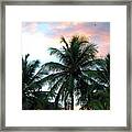 Tropical Dawn I I Framed Print