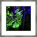 Into The Psychedelic Jungle Framed Print