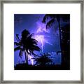 Tropical Nights Framed Print