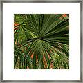 Tropical Palms 1 Framed Print