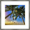 Tropical Palms Framed Print