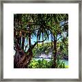 Tropical Paradise Framed Print