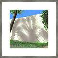 Tropical Shadows Framed Print