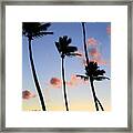 Tropical Sunrise Framed Print