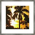 Tropical Sunset Palm Framed Print