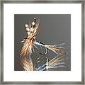 Trout Fly 2 Framed Print