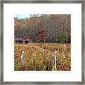 Tucked Away - Barns Framed Print