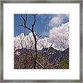 Tucson Arizona Framed Print