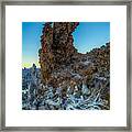 Tufa And Roots Framed Print