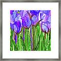 Tulip Bloomies 1 - Purple Framed Print