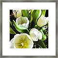 Tulip Bouquet Framed Print