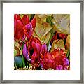 Tulip Bouquet Framed Print