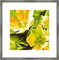 Tulip Kisses Abstract 10 Framed Print