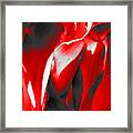 Tulip Kisses Abstract 2 Framed Print