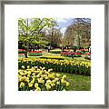 Tulips And Other Spring Bulbs At Keukenhof Gardens Holland Framed Print