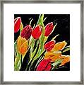 Tulips Colors Framed Print
