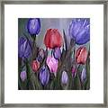 Tulips Framed Print