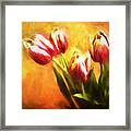 Tulips No 7 Framed Print
