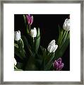 Tulips Framed Print