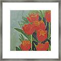 Tulips Framed Print