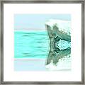Turquoise And Steer Framed Print