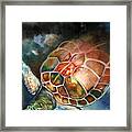 Turtle Framed Print