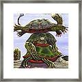 Turtle Circus Framed Print
