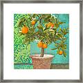 Tuscan Orange Topiary - Damask Pattern 2 Framed Print