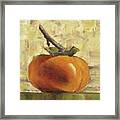 Tuscan Persimmon Framed Print