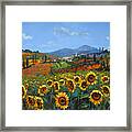 Tuscan Sunflowers Framed Print