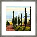 Tuscany Cypress Trees Framed Print