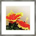 Twin Peaks Hibiscus Apollo Framed Print