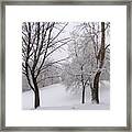 Twins Trees In The Snow Framed Print
