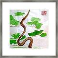 Twists And Turns Of Life Framed Print