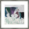 Two Bears Playing In The Snow Framed Print