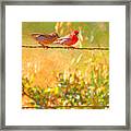 Two Birds On A Wire Framed Print
