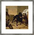 Two Dogs Cowering Before Rats Framed Print