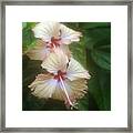 Two Flowers Framed Print