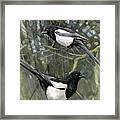 Two For Joy Framed Print