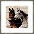 Two Friends Framed Print
