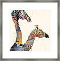 Two Giraffes Framed Print