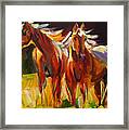 Two Horse Town Framed Print