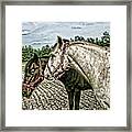 Two Horses In A Field Framed Print