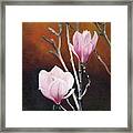 Two Magnolias Framed Print