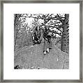 Two Men On A Boulder In The American West, 1972 Framed Print