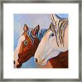 Two Mustangs Framed Print